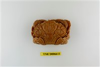 藏品(銅鑄熟若蟹)的圖片